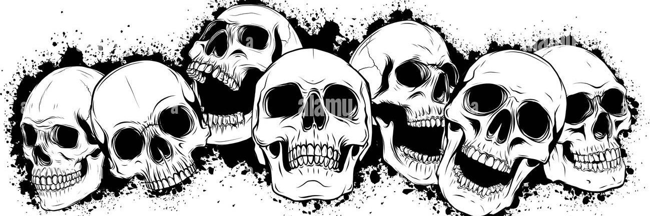 Skulls banner