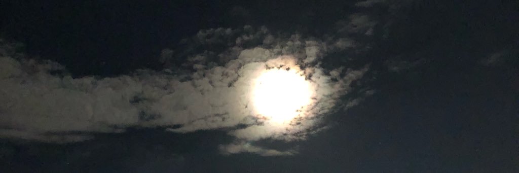 NicoGuzman15's profile banner image