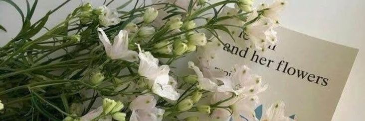 ella wille 🌻 banner