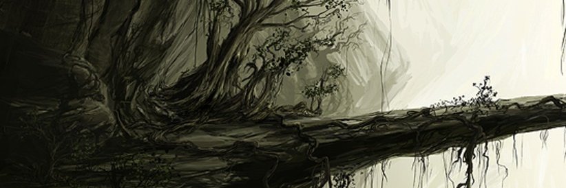 flolesch's profile banner image