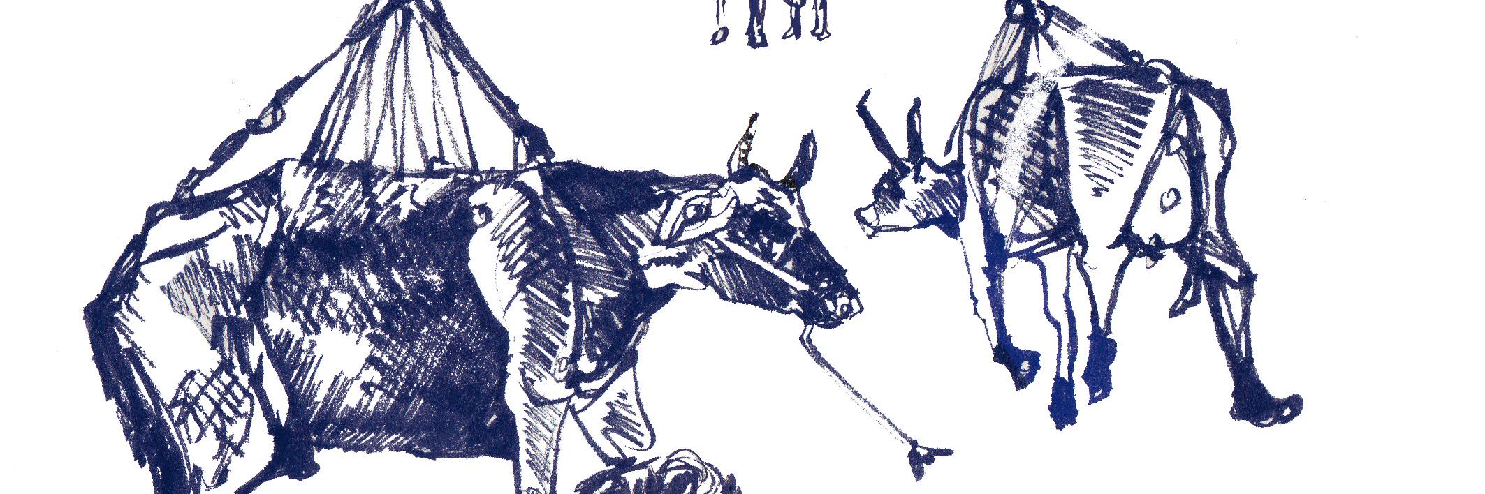 Alejandro Uscategui banner