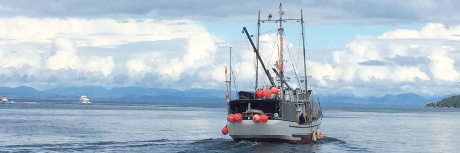 Wild Pacific Halibut banner