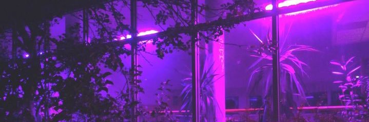inactive banner