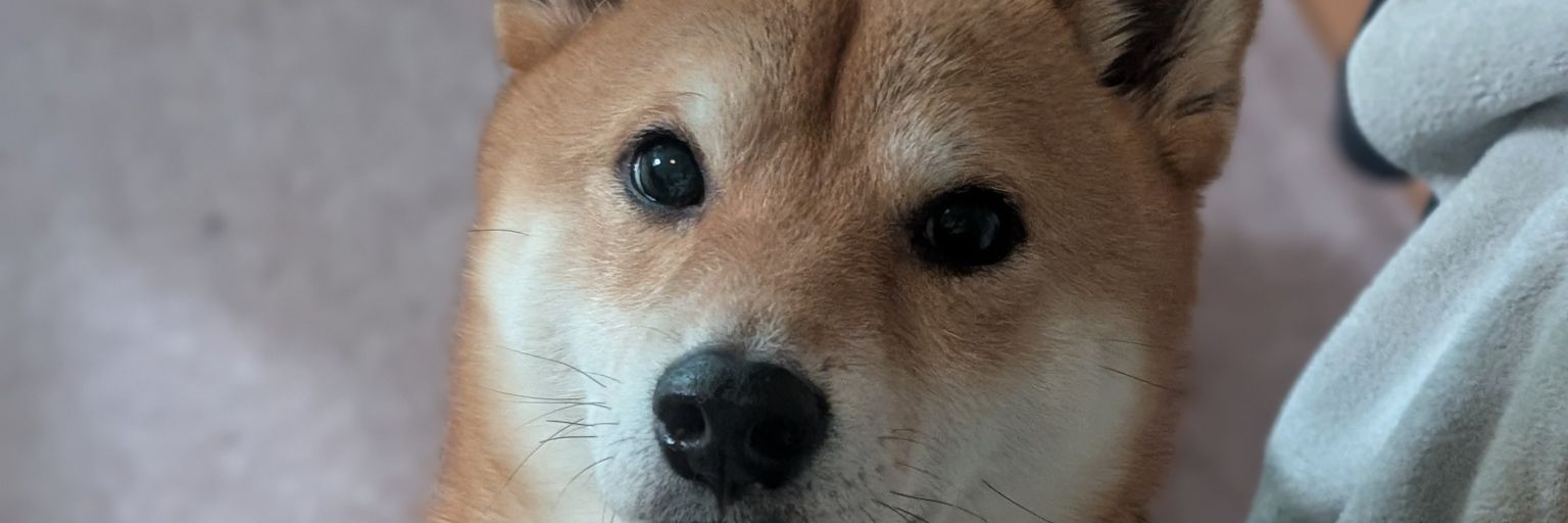 gameyorianime's profile banner image