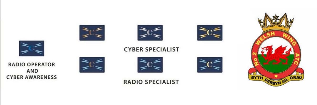 2 Welsh Wing Radio Comms Officer banner