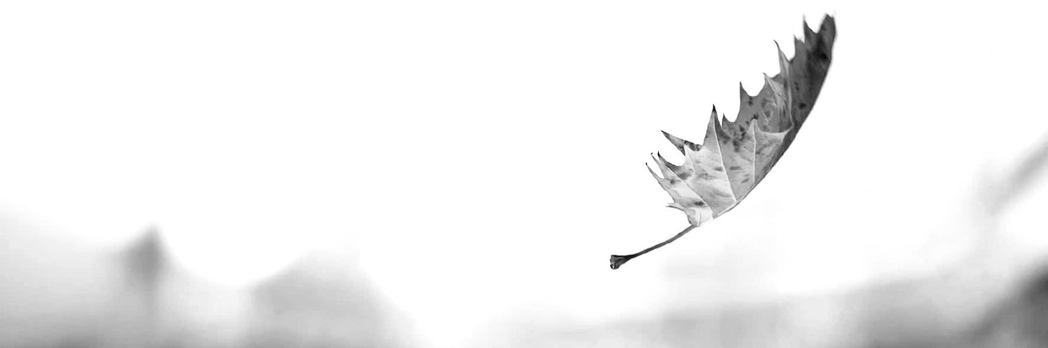 One day, you'll leave this world behind banner