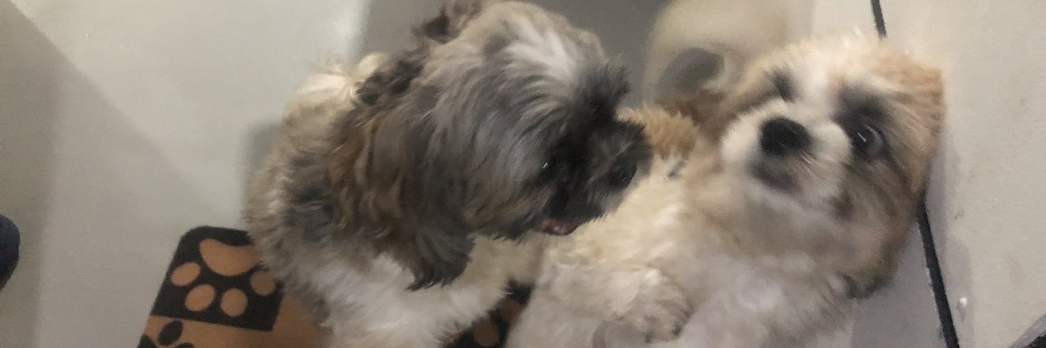 dollydollyang's profile banner image