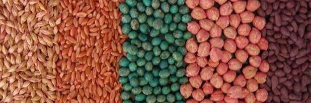 GrahamSeedTreatingSystems banner