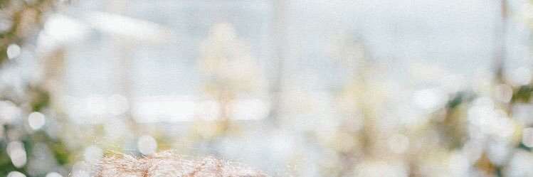 7loome_om's profile banner image