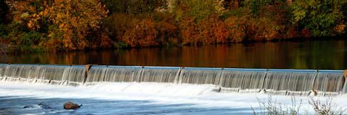 Alexander Lewis banner