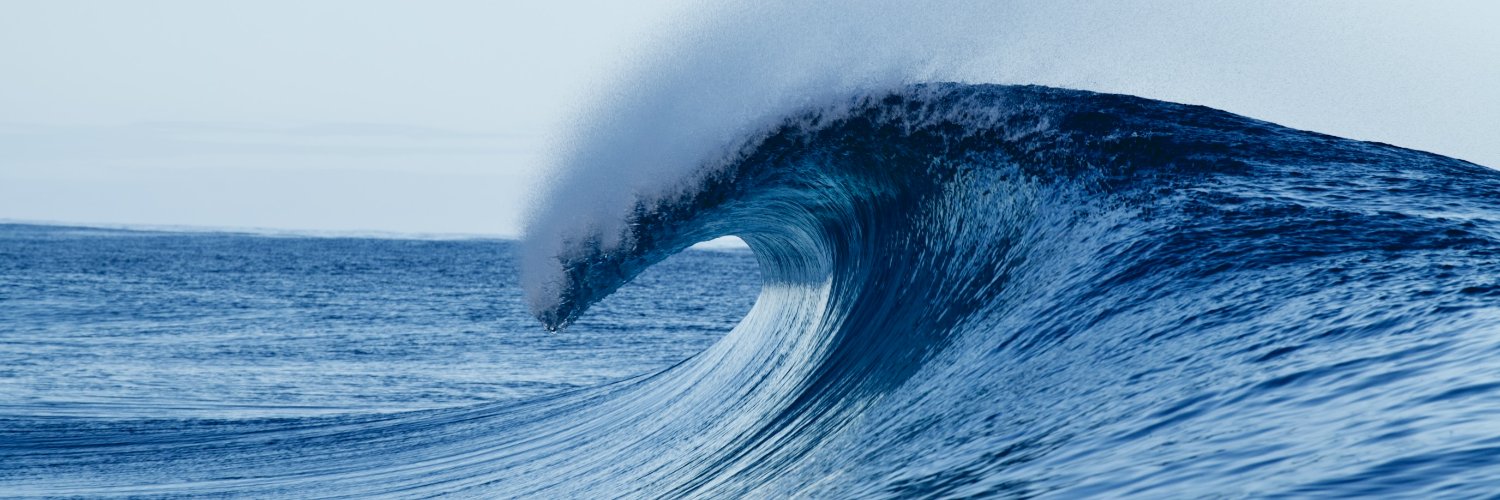 Surfrider Foundation banner