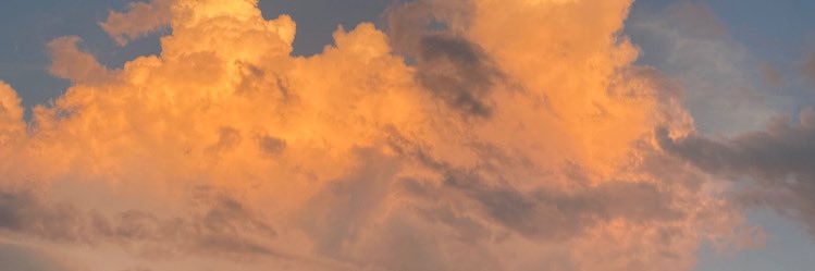danidepaz_'s profile banner image
