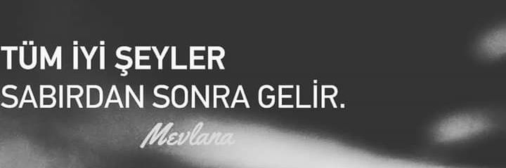 TorunTansel's profile banner image