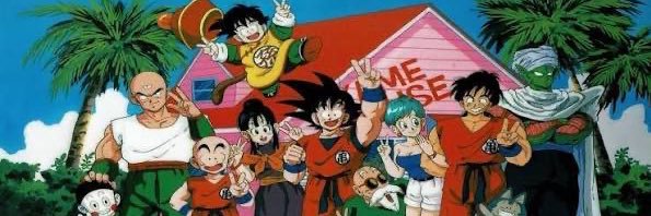 FWYH banner