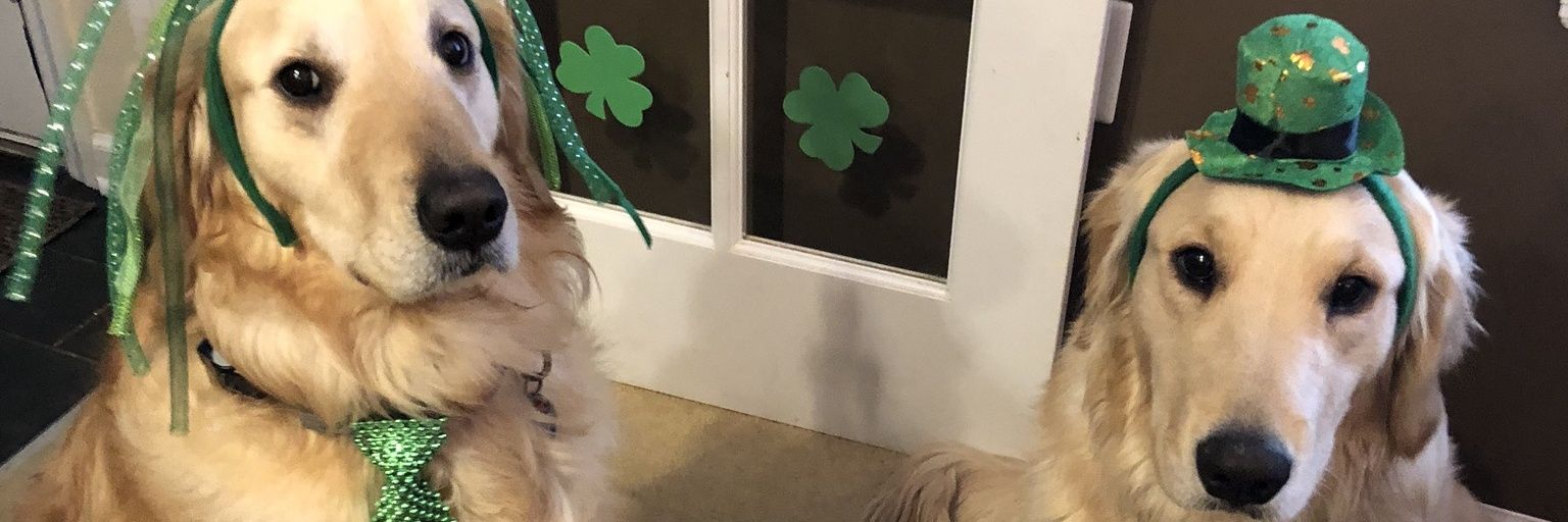 Aschmigel's profile banner image