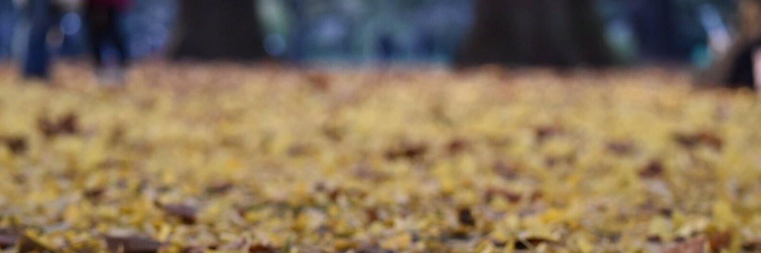 Lvdaio's profile banner image