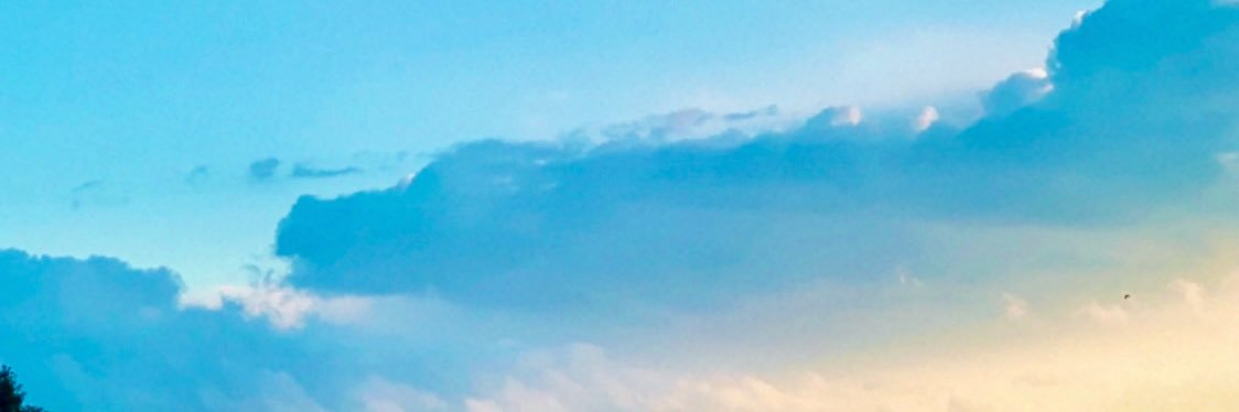 cinnamonta's profile banner image