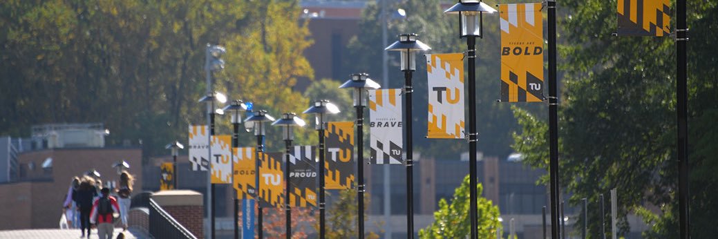 Towson Black Student Union banner