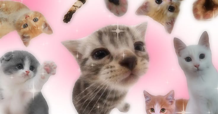 AlelulyB's profile banner image