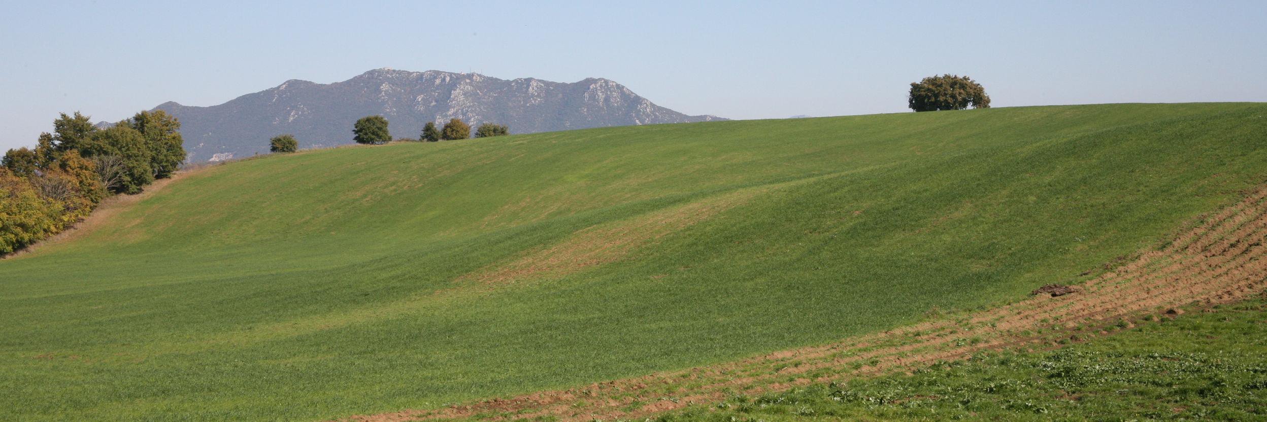 ParcoTreja's profile banner image