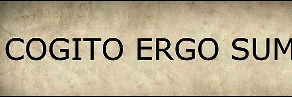 Neha Dave, CFA banner