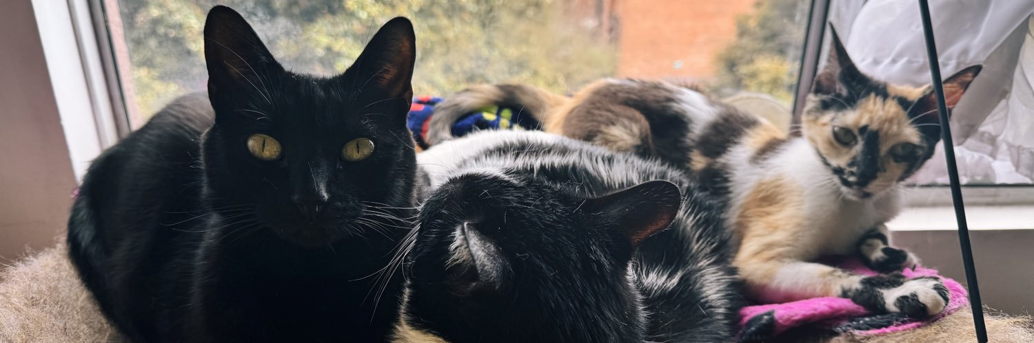 😻 banner