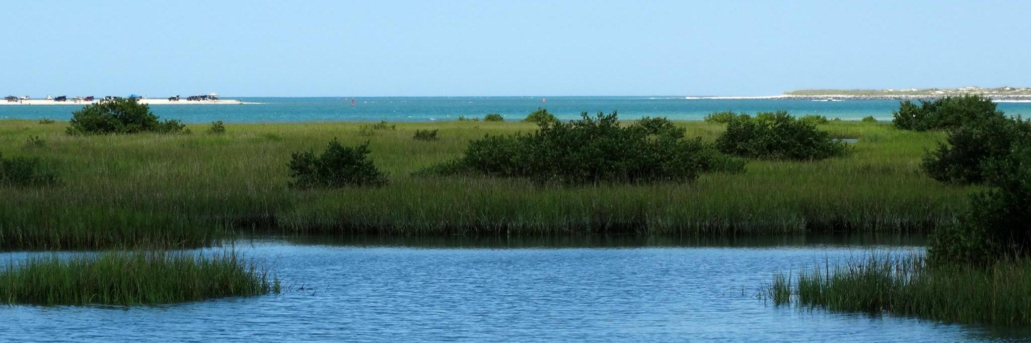 SamJ❤️🇺🇸💙 banner