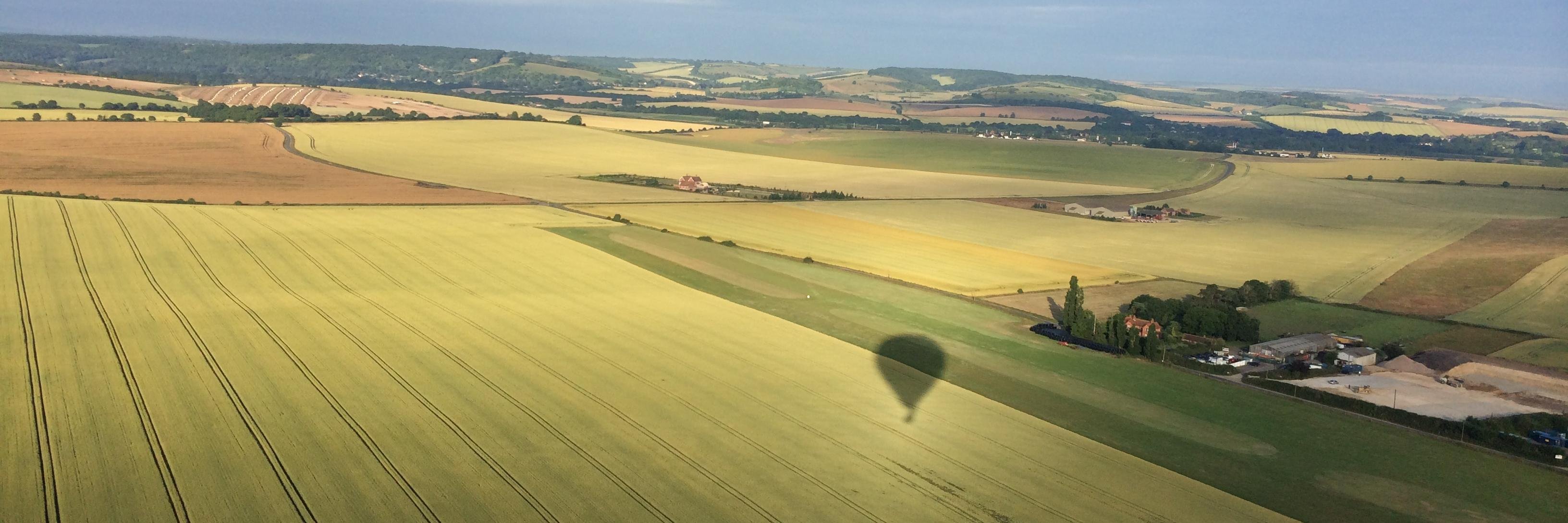 Lisa Atherfold banner