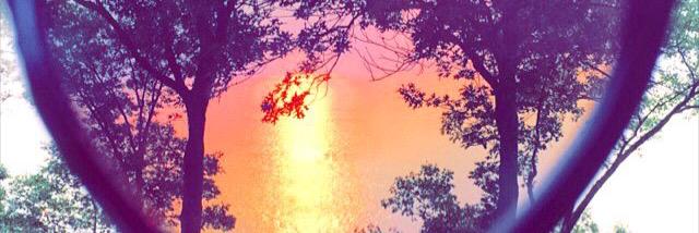 _Divaree's profile banner image