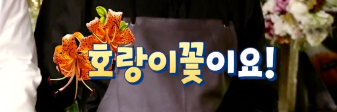 blooming_tiger's profile banner image