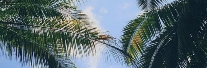 SalehAlrob3's profile banner image