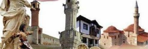 Zile banner