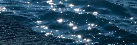 𝒹𝑜𝓉. banner