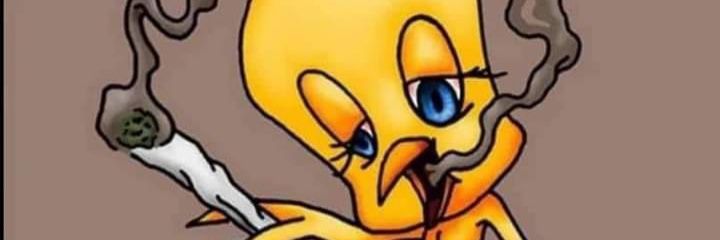 Vickkin370's profile banner image