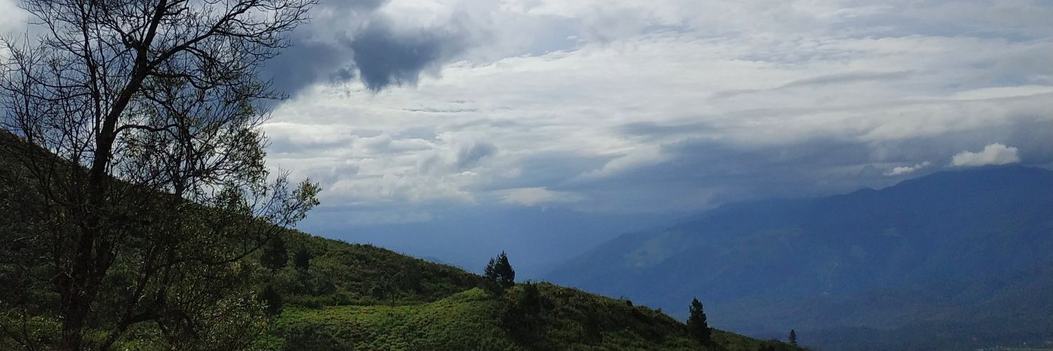 aastriee's profile banner image