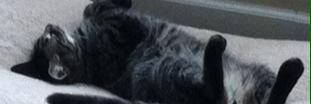 barbkircher19's profile banner image