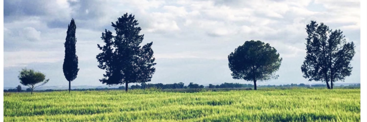 yet_in's profile banner image
