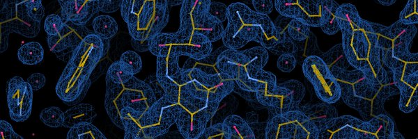 WaelAwadMoh Profile Banner