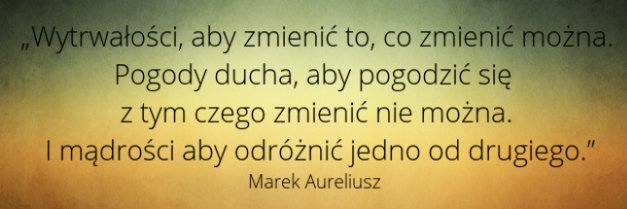 Michał Bulsa banner