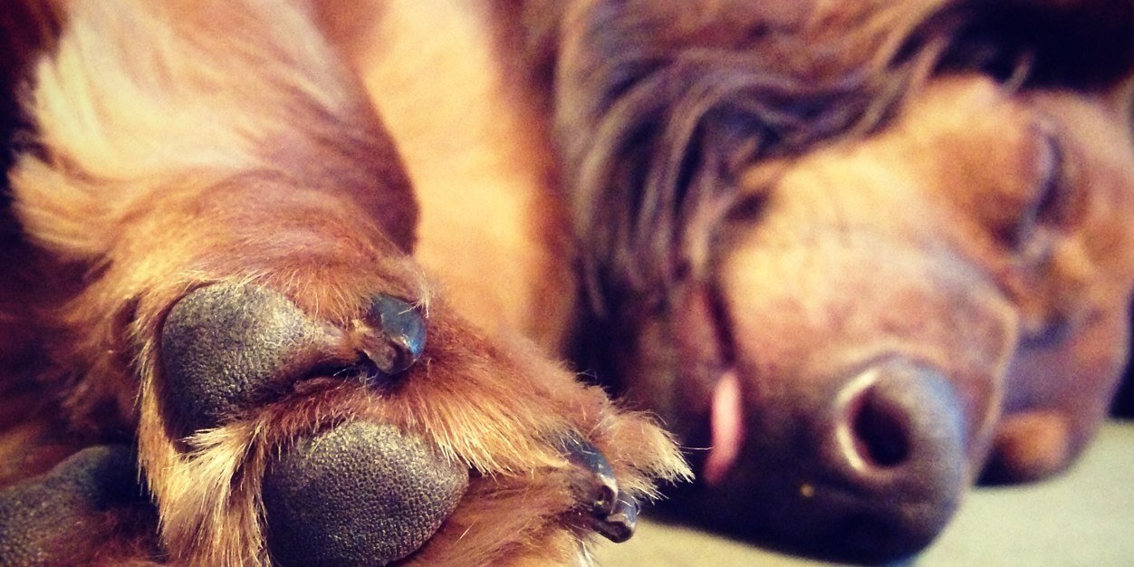 graysonstarbuck's profile banner image