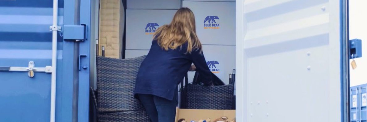 BlueBearStorage's profile banner image