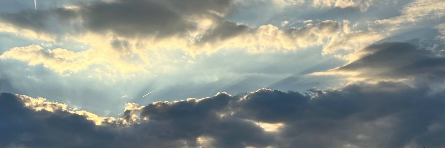 betuni__'s profile banner image