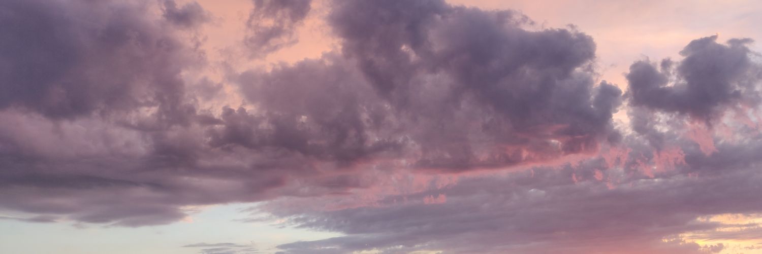 iceroy banner