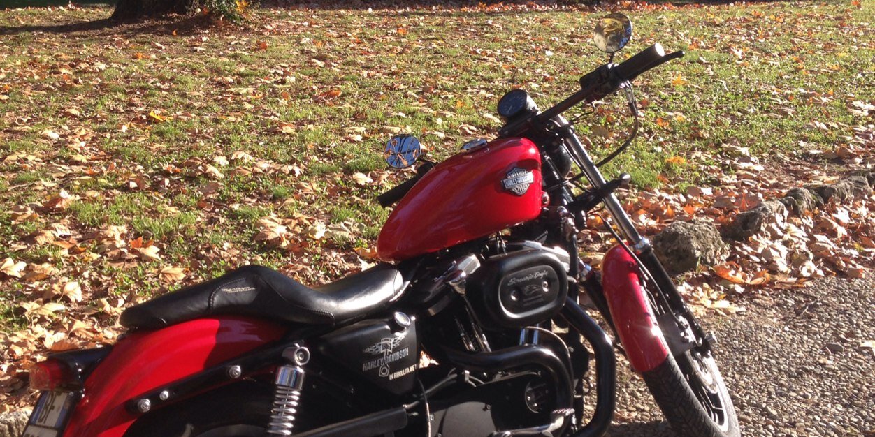 Rouges_1973's profile banner image
