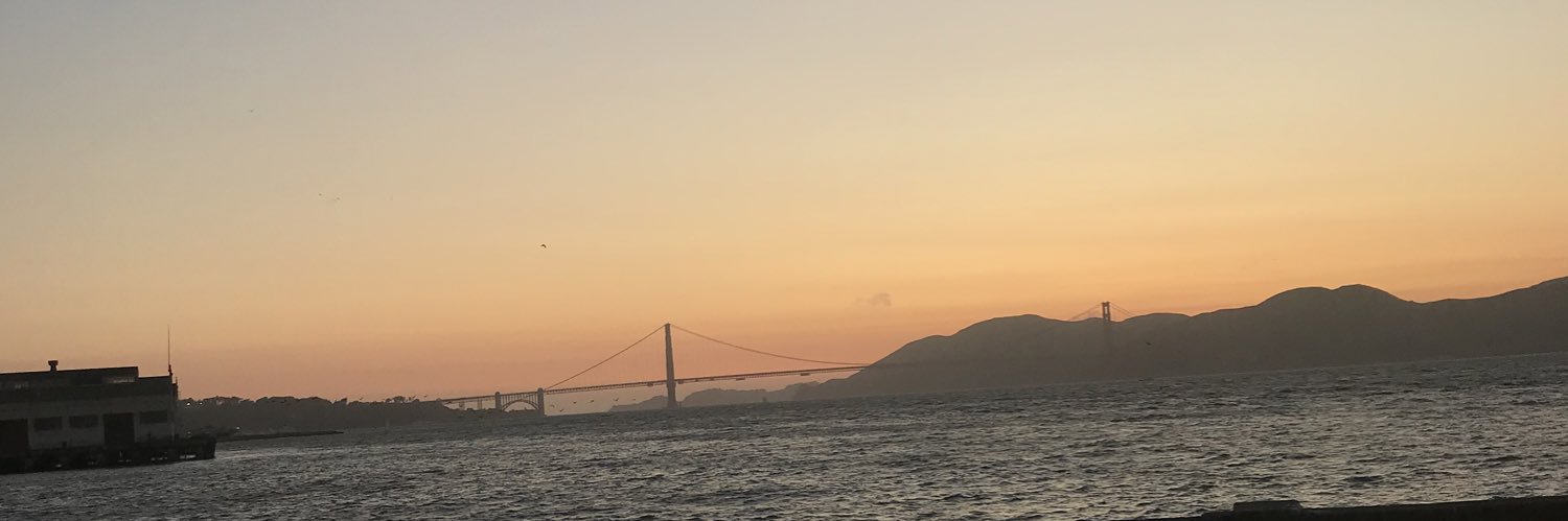 Noah banner