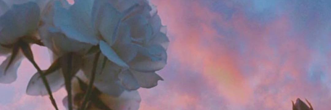 Hailey713v2's profile banner image