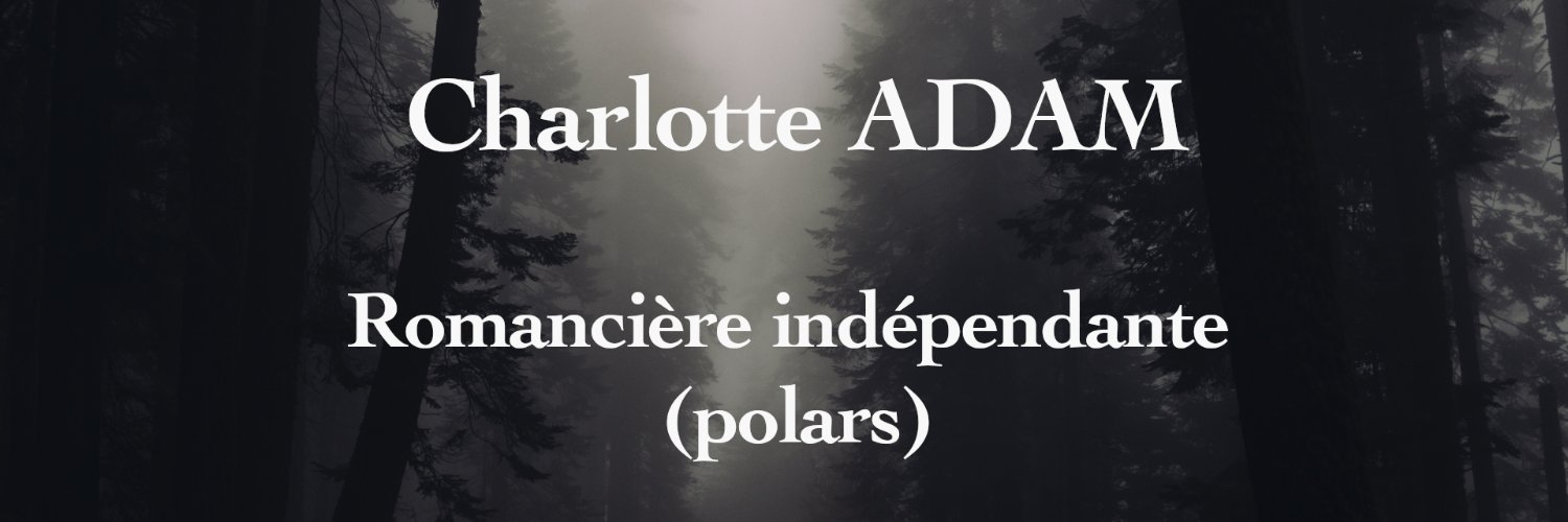 C_Adam_Auteur's profile banner image