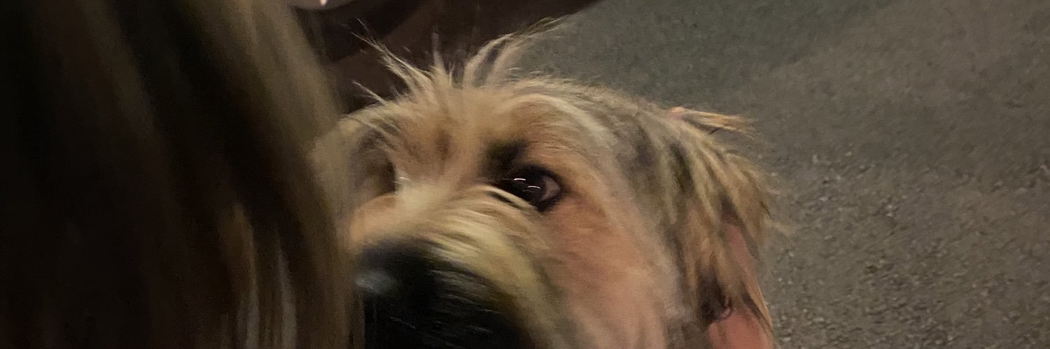 aurekun7's profile banner image