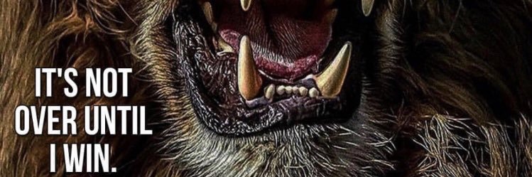 SCNorthStrength's profile banner image