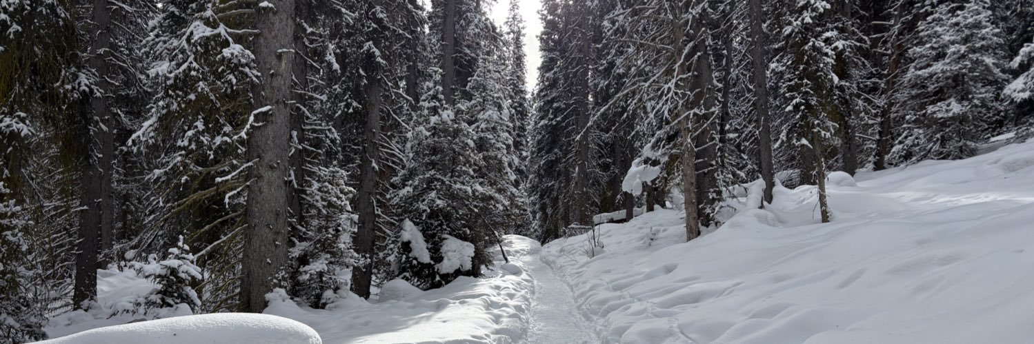 Ryan 🌊🇨🇦 banner